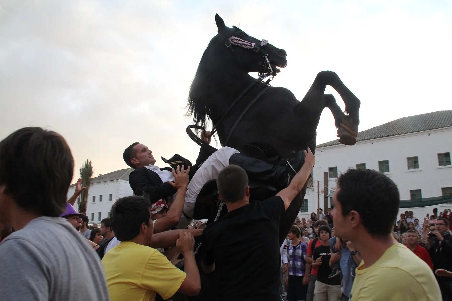 Caballo menorquín durante las fiestas de Sant Jaume en Es Castell
